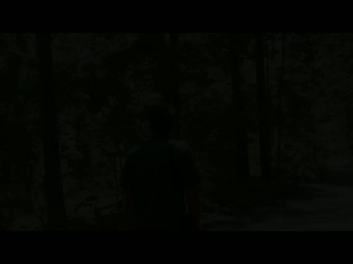 opplanet vanguard endeavor ed 10x42mm binoculars 339373