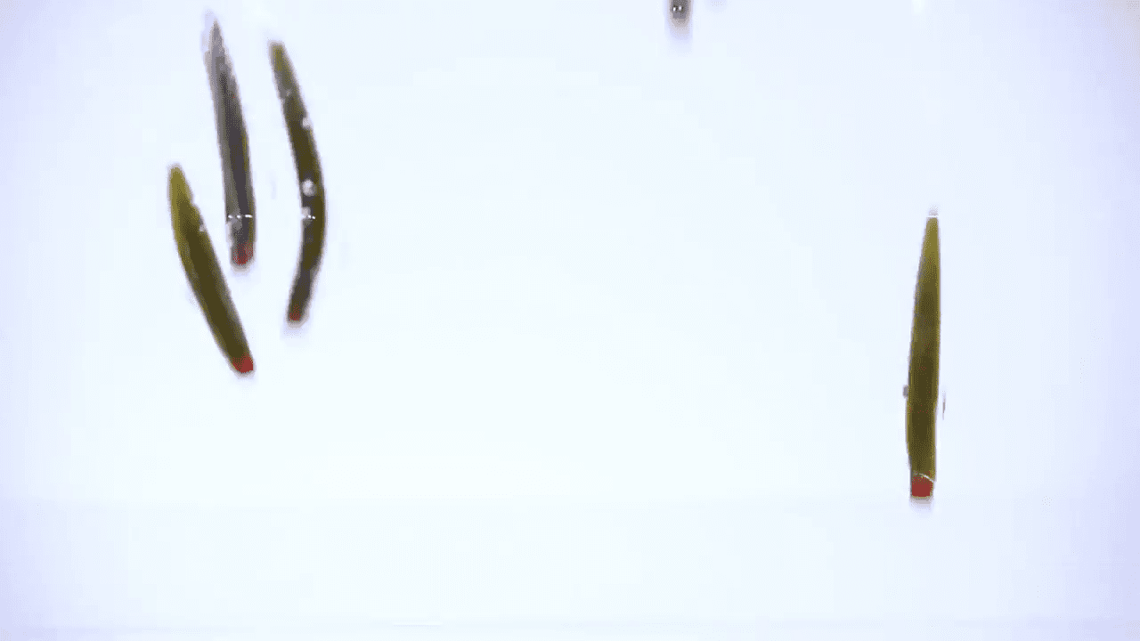 opplanet z man will the real ned rig please stand up video